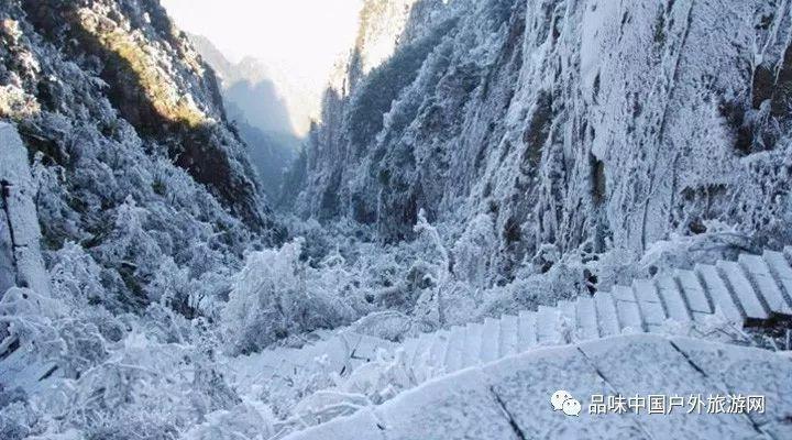 没人告密，旅长怎知李云龙得了一个骑兵营？他本来就是搞情报的！